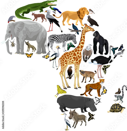 Vector Africa fauna map, flat elements. Animals, birds, reptiles, insects and amphibian big set. Geography infographic illustration