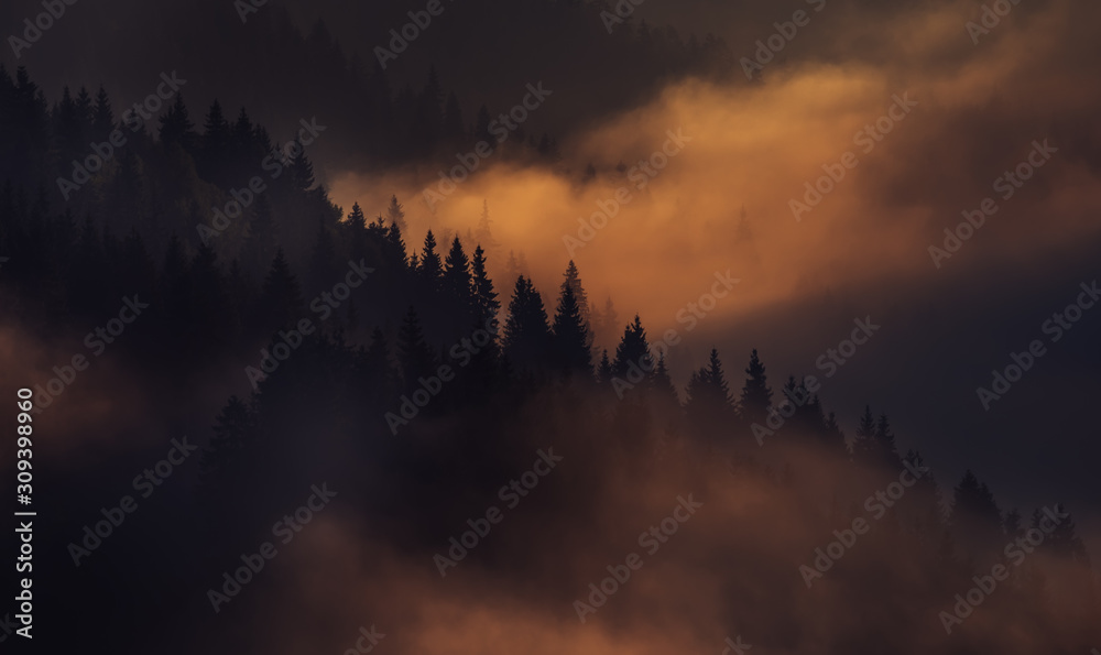 Fantastic view of the early morning in the mountains. Silhouettes of rows of fir trees on the slopes of the mountains in the sun and clouds of fog. Dark photo in the morning twilight. Dramatic fog and Fantastic view of the early morning in the mountains. Silhouettes of rows of fir trees on the slopes of the mountains in the sun and clouds of fog. Dark photo in the morning twilight. Dramatic fog and