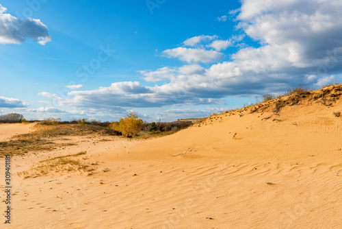 Semi-desert landscape with traces on sand on sunny autumn day