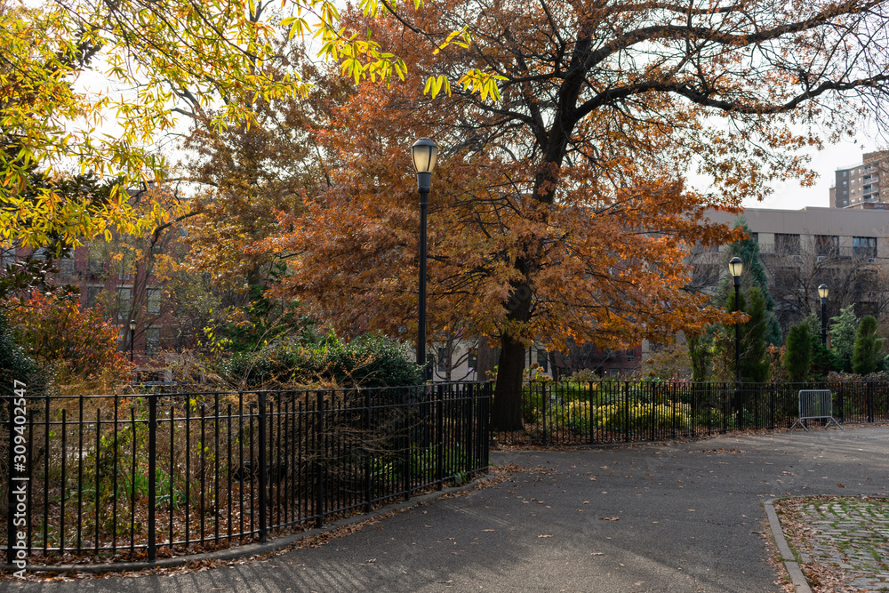Naklejka premium Empty Walkway and Colorful Trees at Tompkins Square Park during Autumn in the East Village of New York City