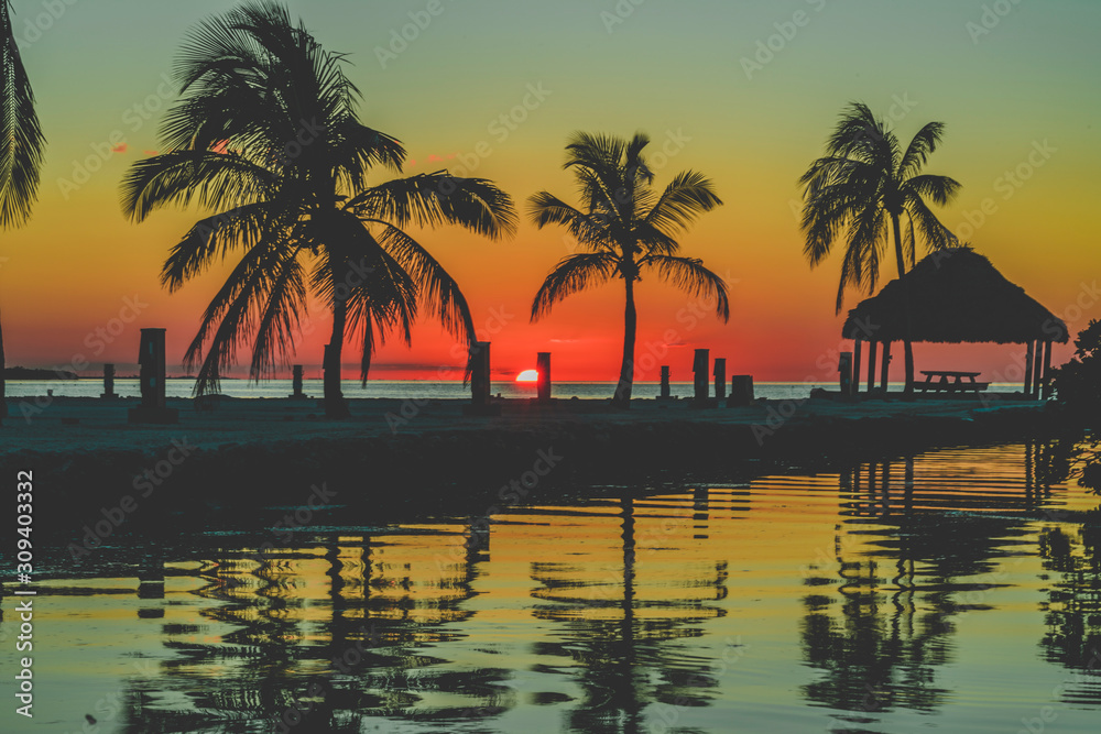 Florida Keys Sunset on the beach with palm trees, Islamorada FL