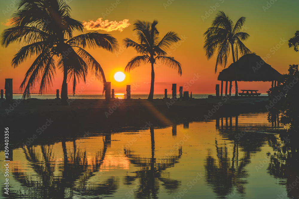 Tropical Beach Sunset with Palm Trees, Florida Keys