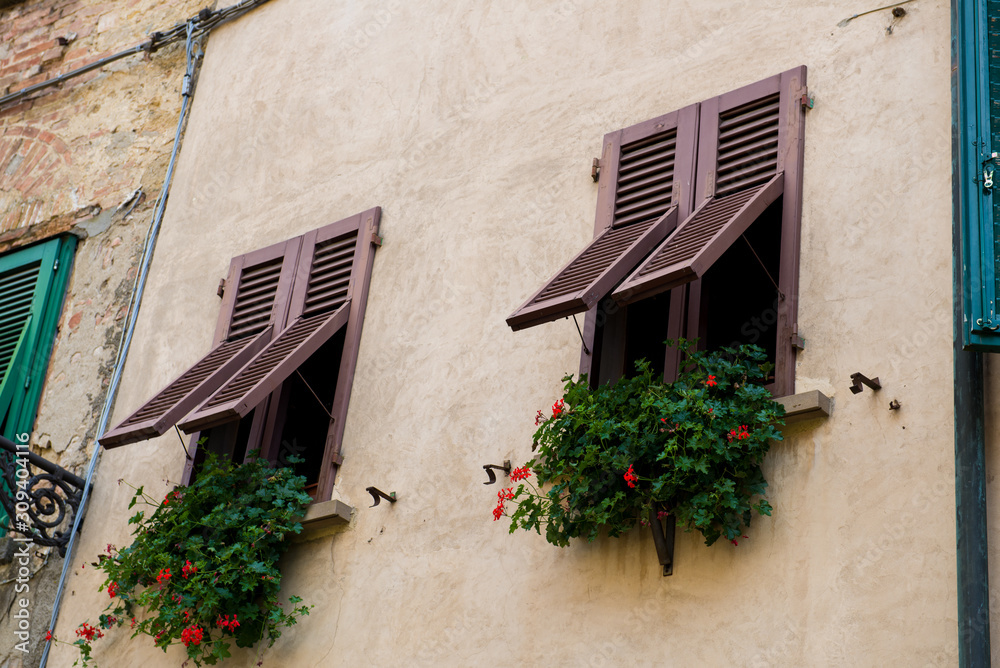 window shutters with flowers hanging over sill