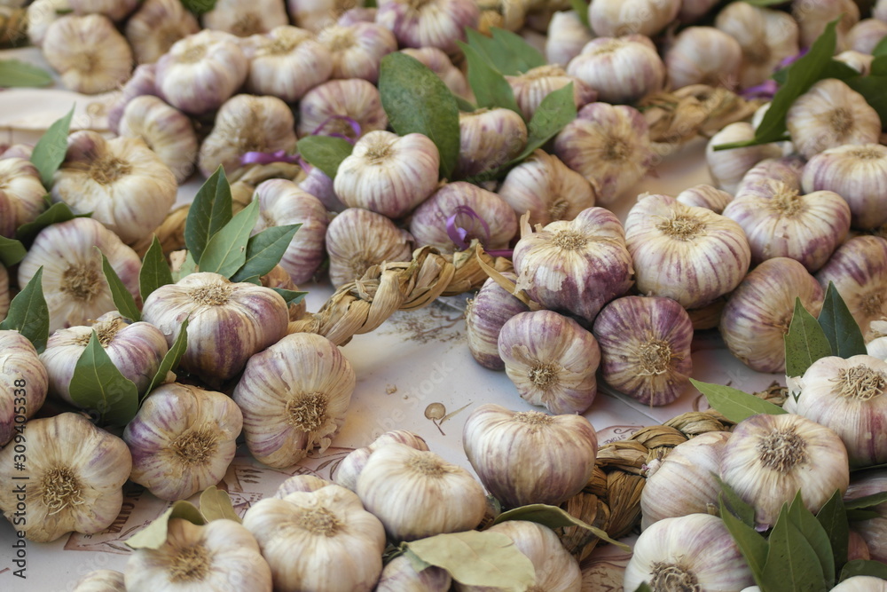 Viele frische Knoblauchknollen auf dem Markt Viele frische Knoblauchknollen auf dem Markt