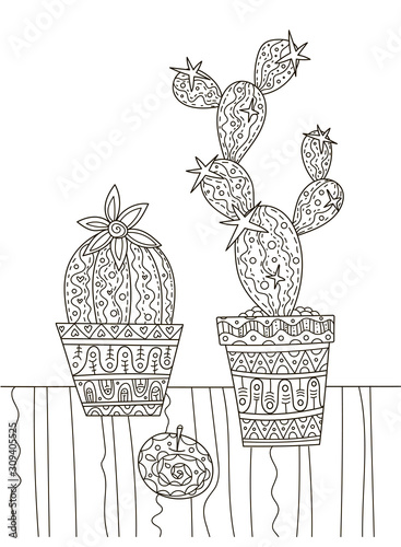 Hand drawing coloring book for children and adults. A beautiful pattern with small details for creativity. Antistress decor cacti in pots.