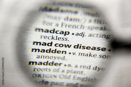 The word or phrase Mad cow disease in a dictionary. photo