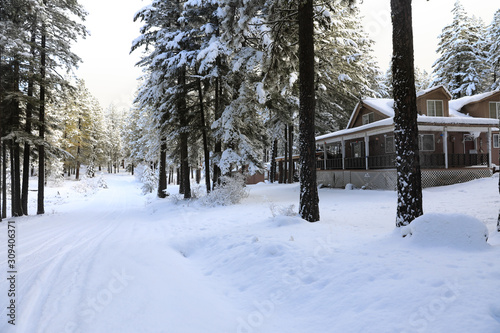 WInter snow exterior with cabin house and forest