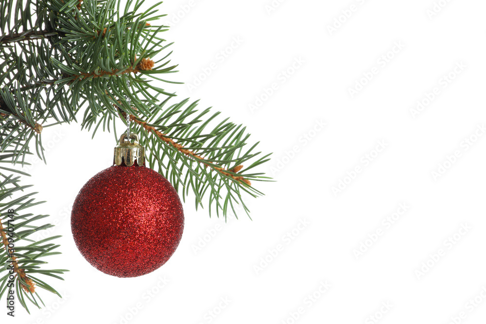 Pine branch with red bauble isolated on white background Pine branch with red bauble isolated on white background