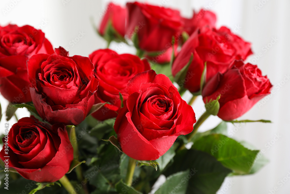 Bouquet of red roses, close up. Blurred background at the back Bouquet of red roses, close up. Blurred background at the back