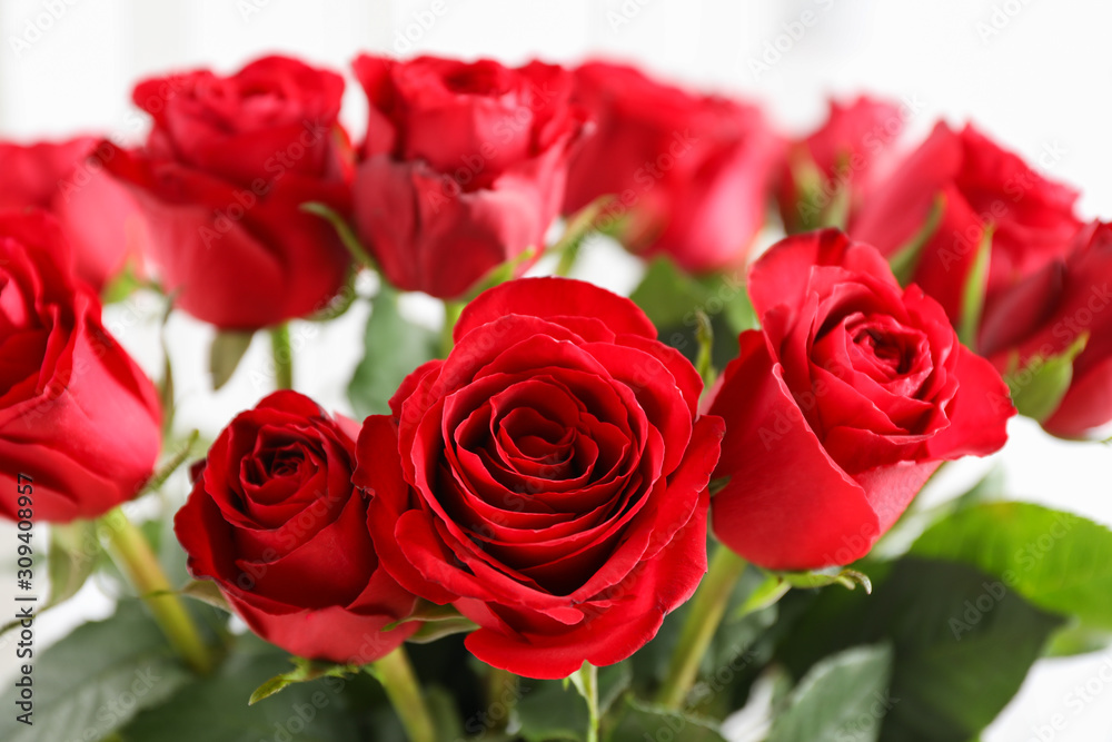Bouquet of red roses, close up. Blurred background at the back Bouquet of red roses, close up. Blurred background at the back