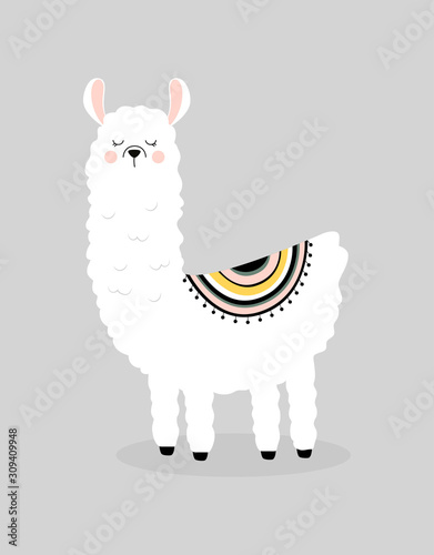 cute llama isolated