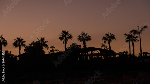 Amazing Sunset With Palm Trees Silhouettes, warm colours and deep black - Amadores Beach, Puerto Rico, Gran Canaria, Canary Island, Spain, Europe © Marcin