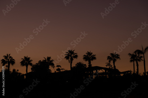 Amazing Sunset With Palm Trees Silhouettes, warm colours and deep black - Amadores Beach, Puerto Rico, Gran Canaria, Canary Island, Spain, Europe