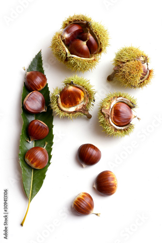 Fresh sweet chestnuts (Castánea satíva) on the white background and green leaf. Raw Chestnuts for Christmas. Food background