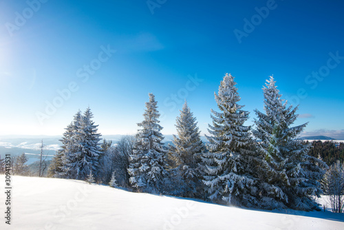 Beautiful snow-covered slope with fir trees © YouraPechkin
