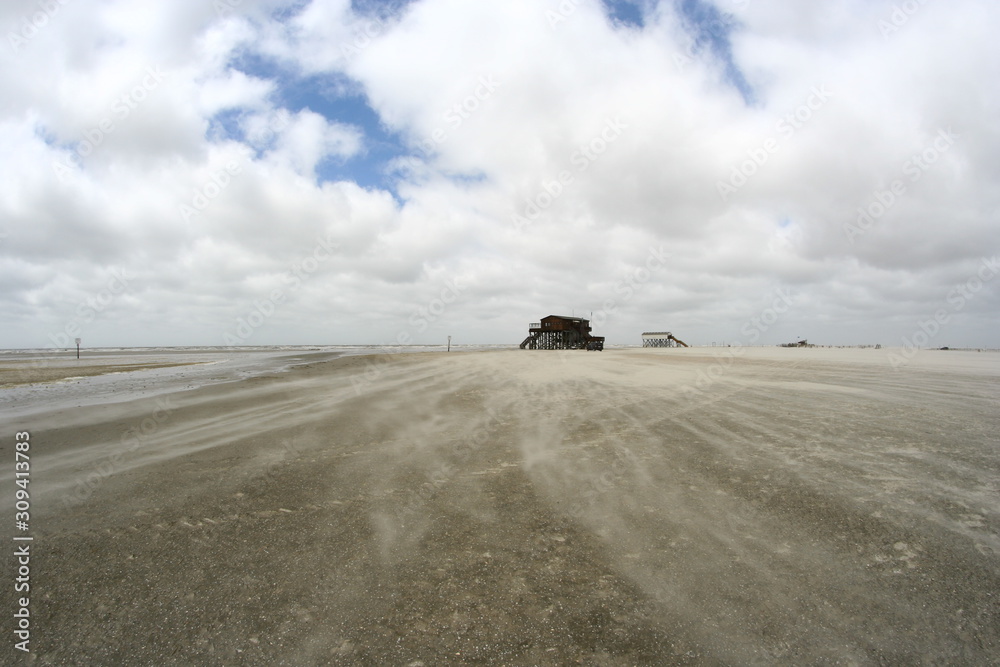 Fototapeta premium truck on the beach