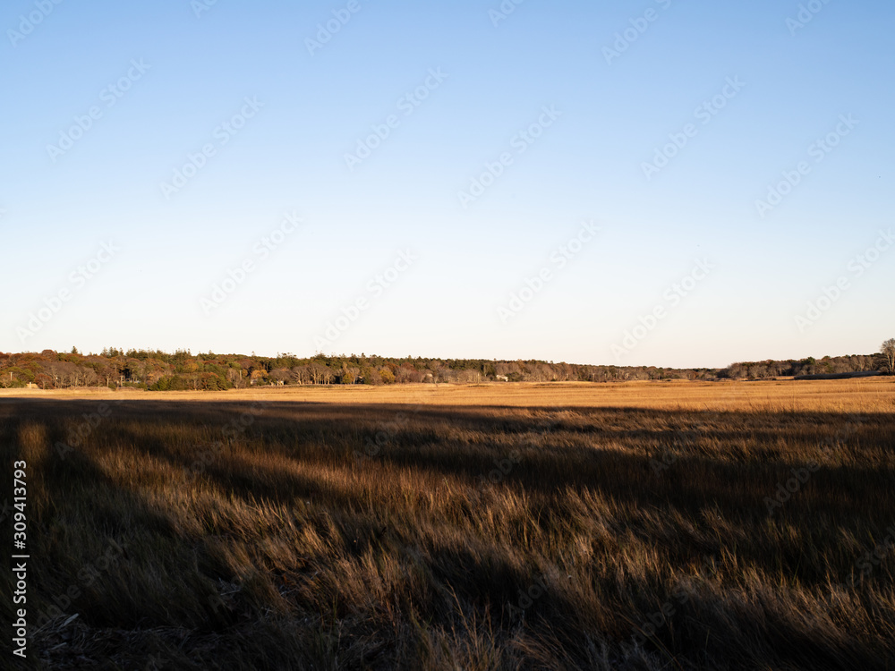 A Wide Open Marshy Landscape with Low Hills in the Background A Wide Open Marshy Landscape with Low Hills in the Background