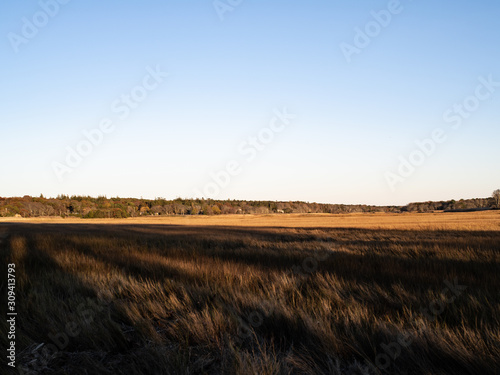 A Wide Open Marshy Landscape with Low Hills in the Background
