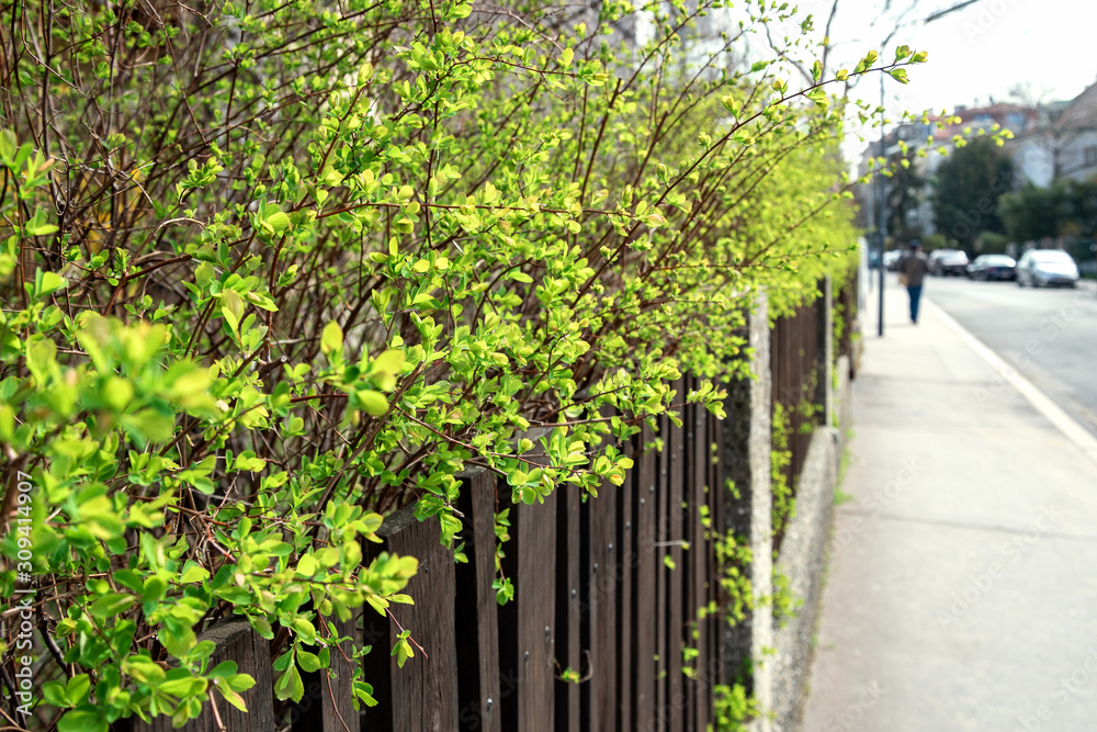 View to street. View to street.