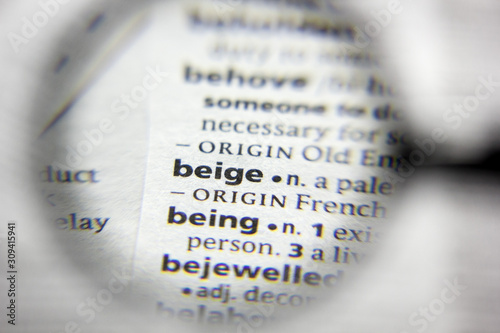 The word or phrase beige in a dictionary.