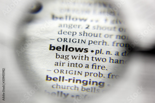 The word or phrase bellows in a dictionary.