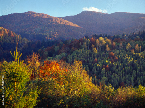 Fototapeta Naklejka Na Ścianę i Meble -  Bieszczady National Park, Bieszczady Mountains, Carpathian Mountains, Poland