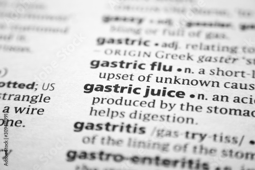 Word or phrase Gastric juice in a dictionary.