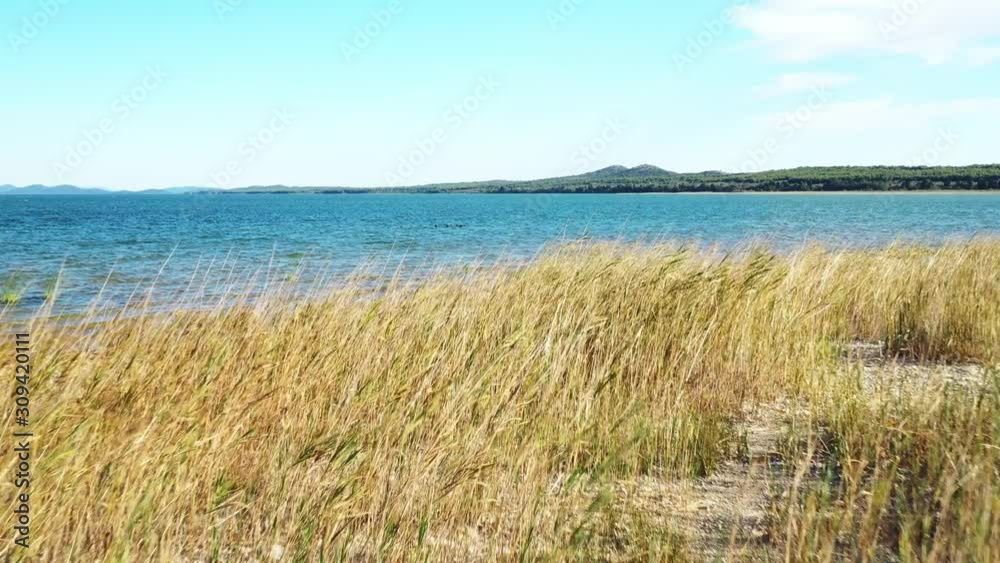 Shore of beautiful ornithological nature park and Vrana lake (Vransko jezero) in Dalmatia, Croatia Shore of beautiful ornithological nature park and Vrana lake (Vransko jezero) in Dalmatia, Croatia