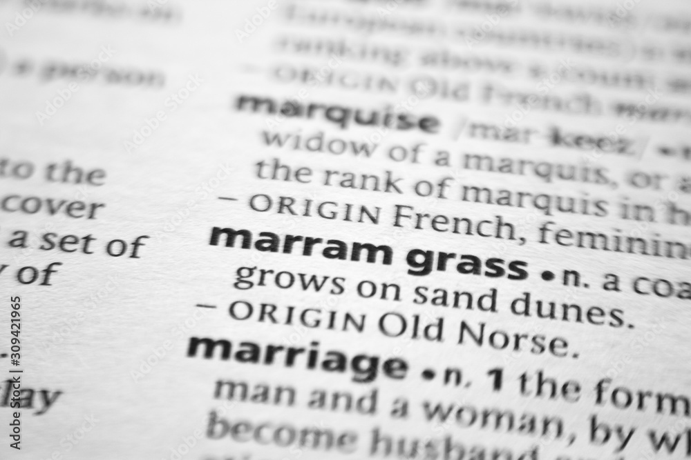 Word or phrase Marram grass in a dictionary. Word or phrase Marram grass in a dictionary.
