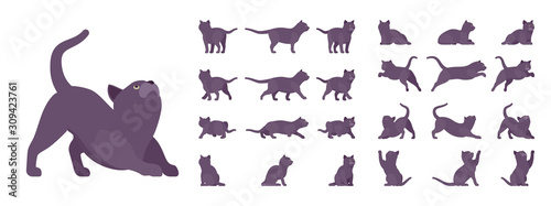 Black Cat set. Active healthy kitten with dark, gray colored fur, cute funny pet, mystic bad luck omen. Vector flat style cartoon illustration isolated on white background, different views and poses