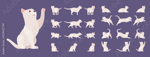 Obraz na płótnie White pedigree cat set