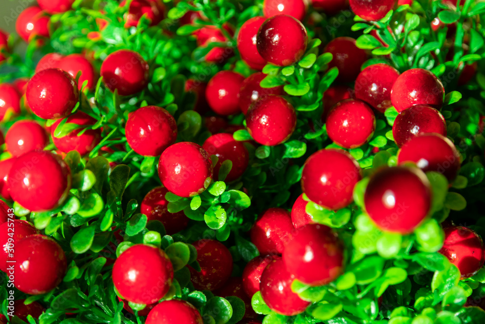 decorative red berries on artificial green bushes, pattern decorative red berries on artificial green bushes, pattern