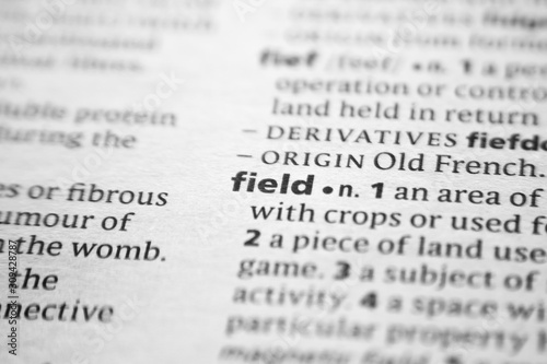 Word or phrase Field in a dictionary.