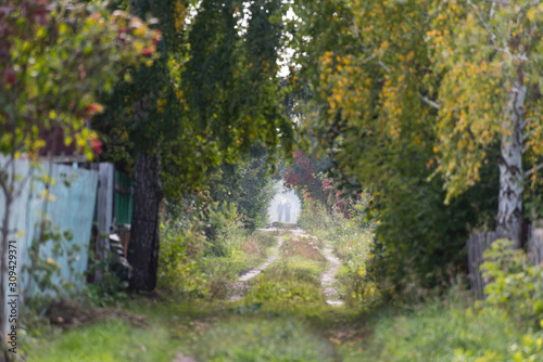 alley in park