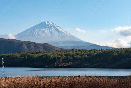 Der Fuji-San über dem Saiko See photo