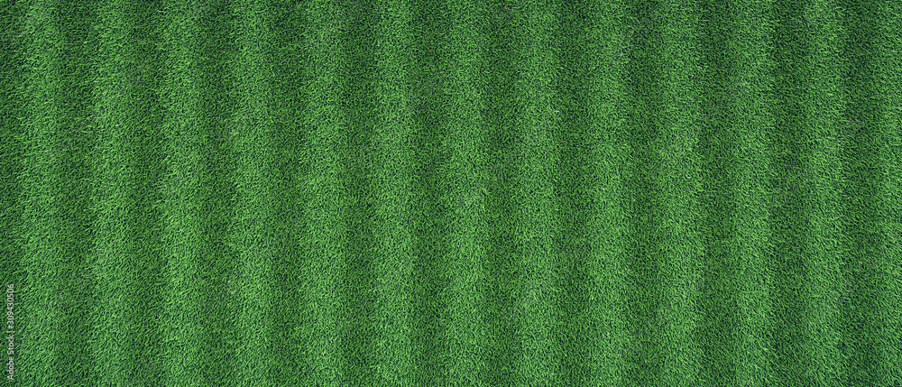 Fototapeta premium Young sprouted grass on a lawn. Stripes.