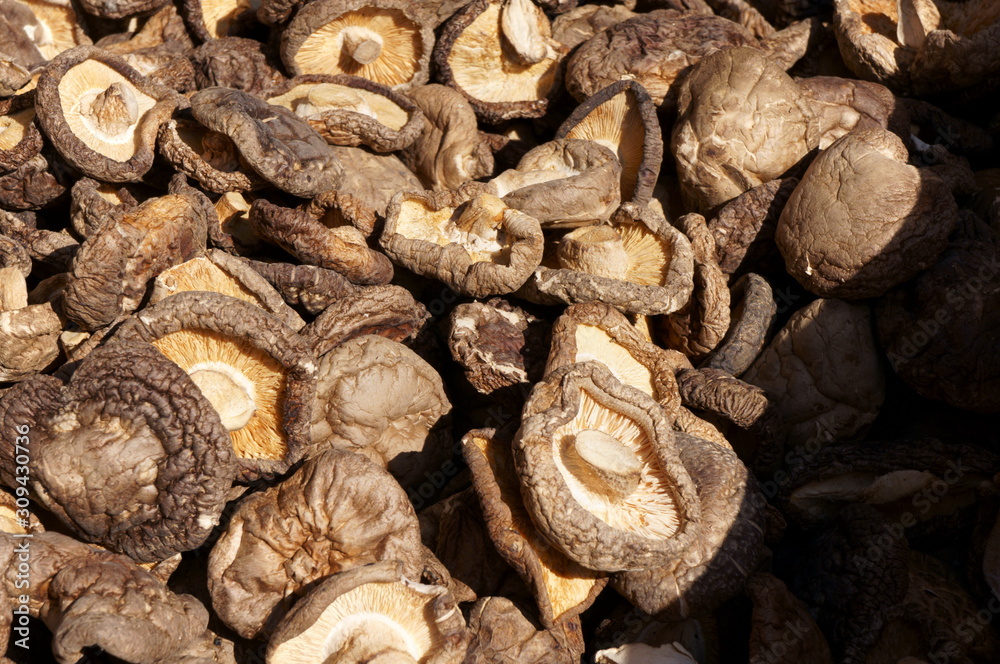 Dried mushrooms of Japanese common ingredients Dried mushrooms of Japanese common ingredients