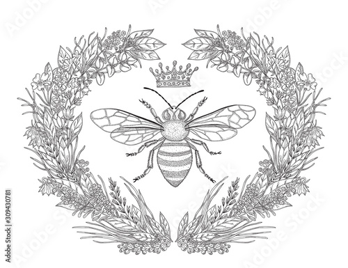 Design for t-shirts with image of wreath of flowers, honey bee and crown. Black and white vector illustration.
