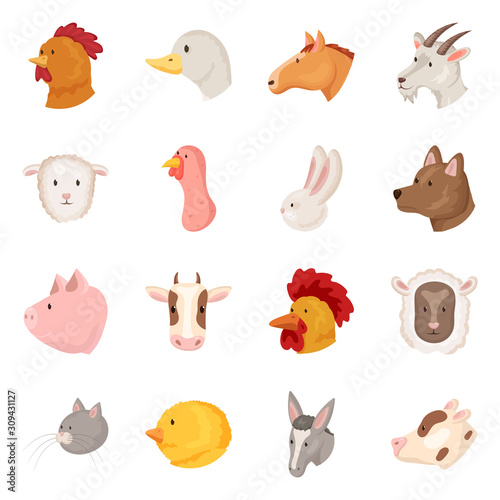 Vector illustration of farm and head sign. Collection of farm and homemade stock vector illustration.