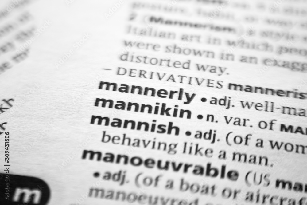 Fototapeta premium Word or phrase Mannikin in a dictionary.