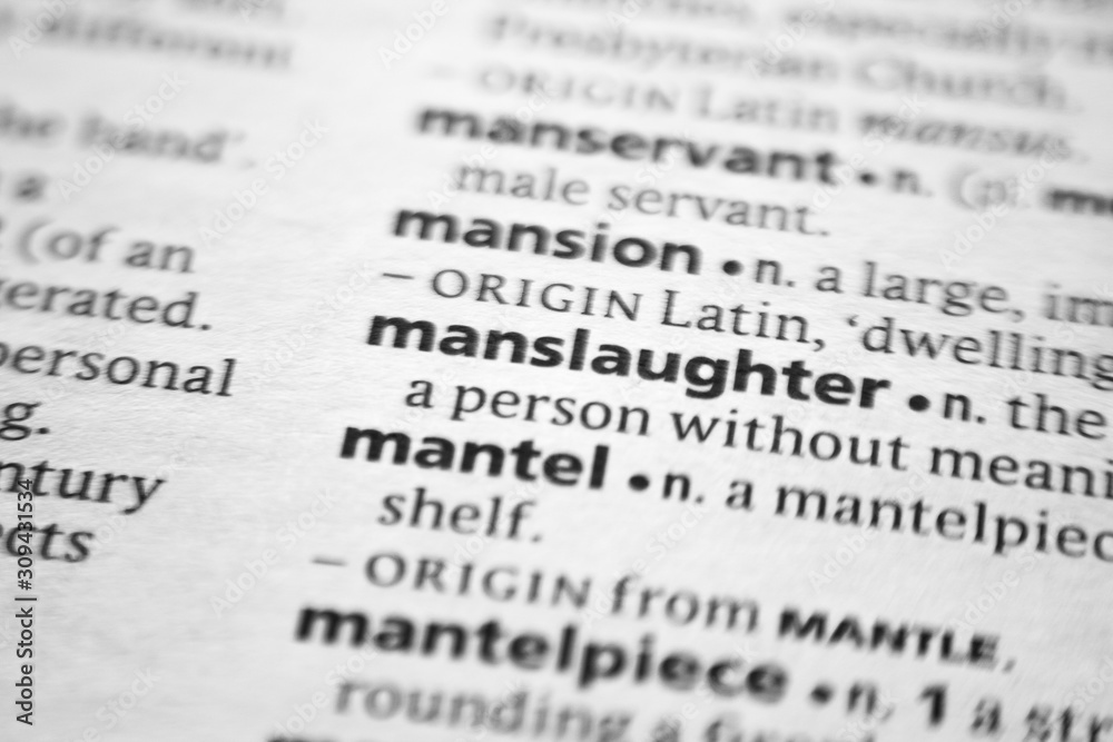 Word or phrase Manslaughter in a dictionary. Word or phrase Manslaughter in a dictionary.