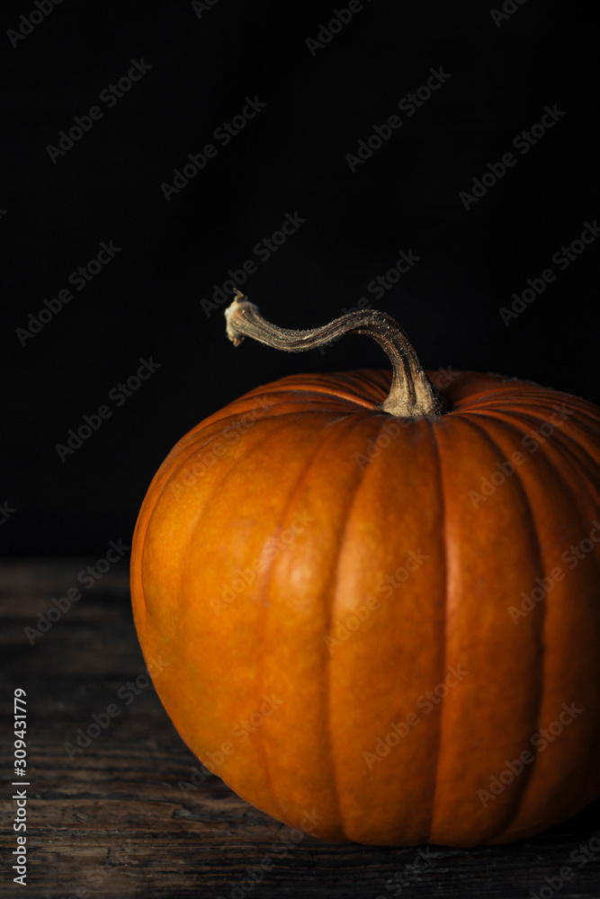 Pumpkin Still Life On A Wooden Rustic Table Pumpkin Still Life On A Wooden Rustic Table