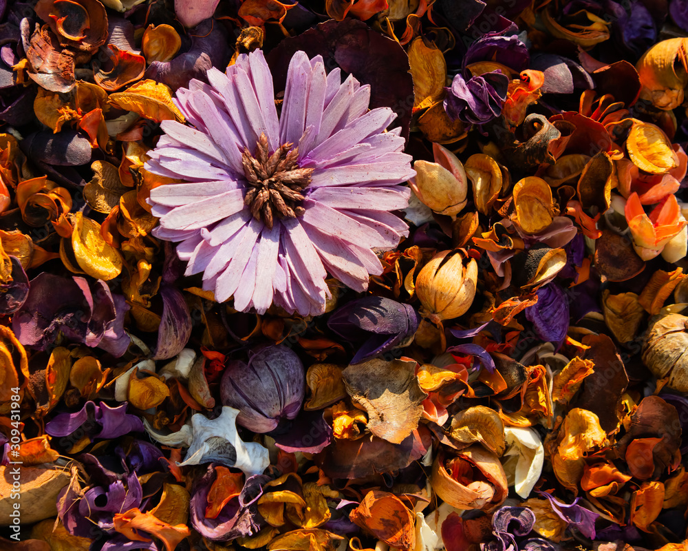 Potpourri colorful background Potpourri colorful background