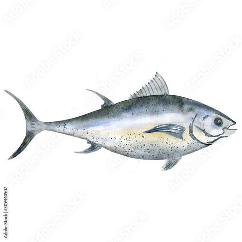 Watercolor tuna fish