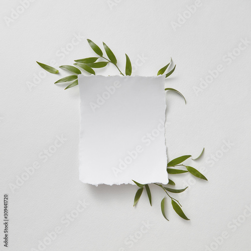 Natural composition of green branches and blank paper on gray paper background with copy space. Flat lay