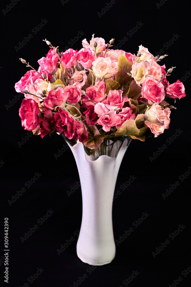 Pink purple beautiful flower rose on a dark black background in vase
