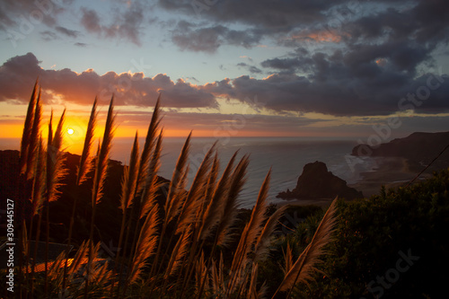 Fototapeta Naklejka Na Ścianę i Meble -  Piha beach in the sunset sun view from the cliff
