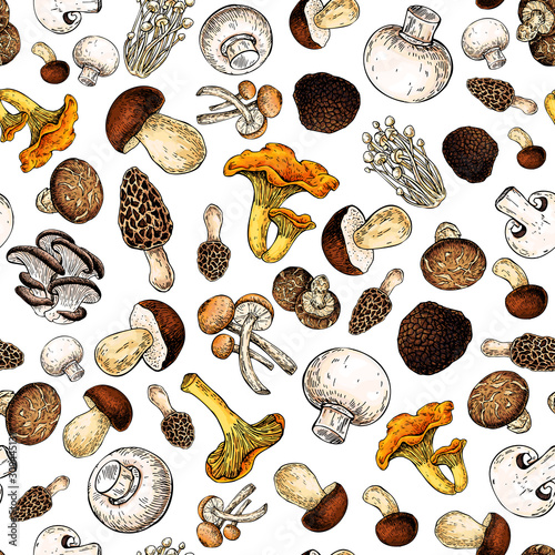 Mushroom hand drawn vector seamlees pattern. Isolated Sketch food drawing background.