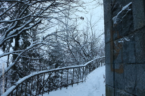 bridge in winter