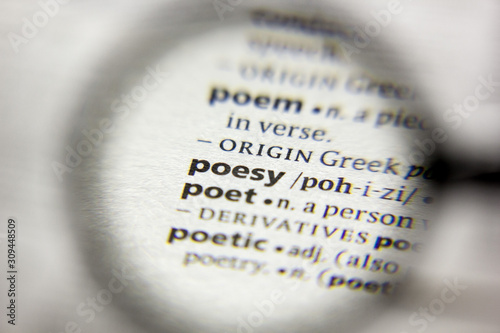 The word or phrase Poesy in a dictionary.